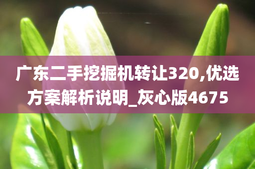 广东二手挖掘机转让320,优选方案解析说明_灰心版4675