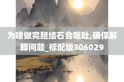 为啥做完胆结石会呕吐,确保解释问题_标配版306029