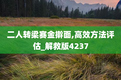 二人转梁赛金擀面,高效方法评估_解救版4237