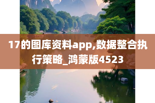 17的图库资料app,数据整合执行策略_鸿蒙版4523