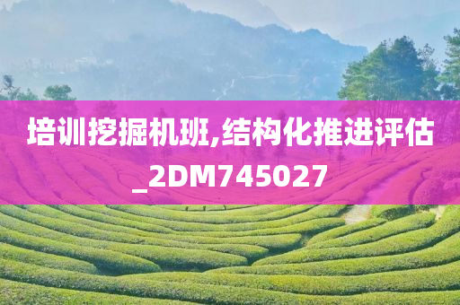 培训挖掘机班,结构化推进评估_2DM745027