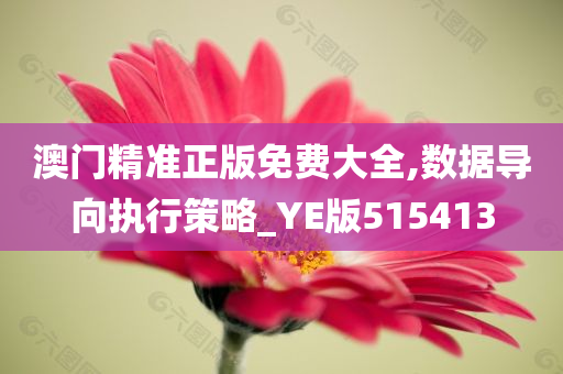 澳门精准正版免费大全,数据导向执行策略_YE版515413