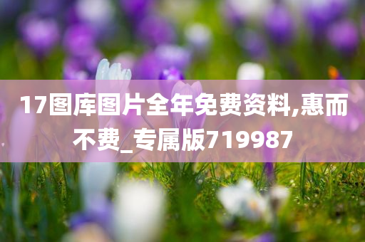 17图库图片全年免费资料,惠而不费_专属版719987