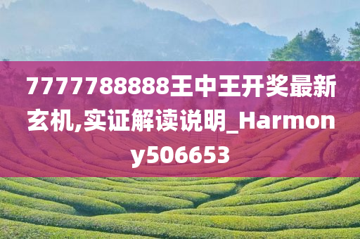 7777788888王中王开奖最新玄机,实证解读说明_Harmony506653