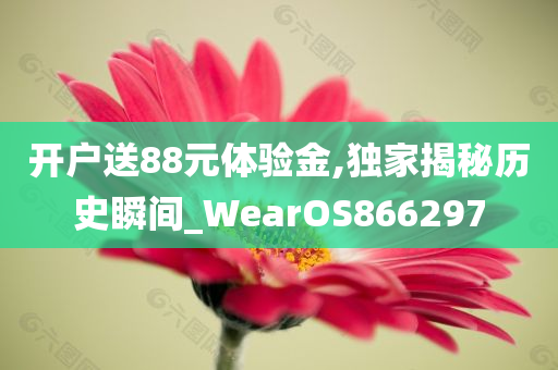 开户送88元体验金,独家揭秘历史瞬间_WearOS866297