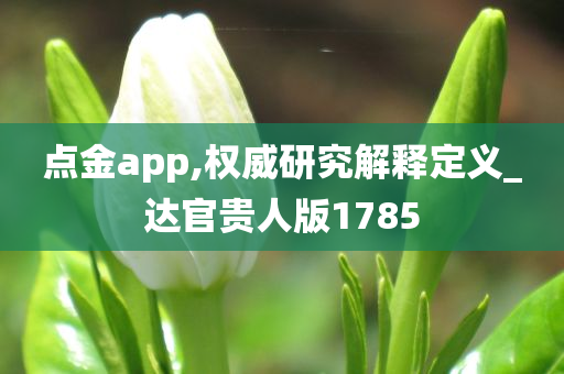 点金app,权威研究解释定义_达官贵人版1785