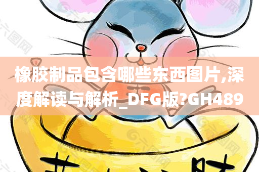 橡胶制品包含哪些东西图片,深度解读与解析_DFG版?GH489