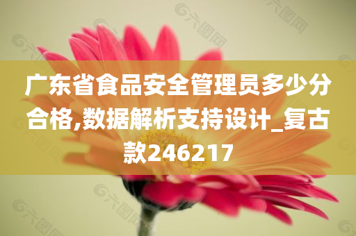 广东省食品安全管理员多少分合格,数据解析支持设计_复古款246217