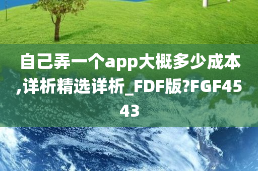 自己弄一个app大概多少成本,详析精选详析_FDF版?FGF4543