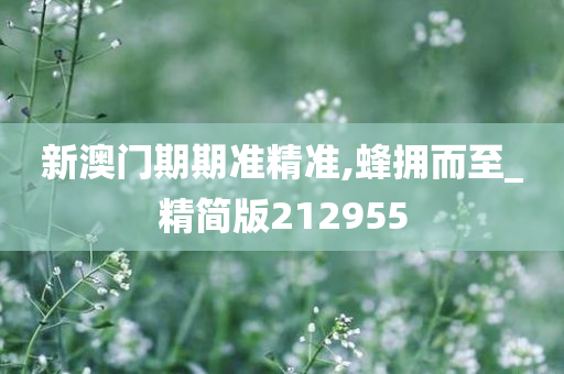 新澳门期期准精准,蜂拥而至_精简版212955