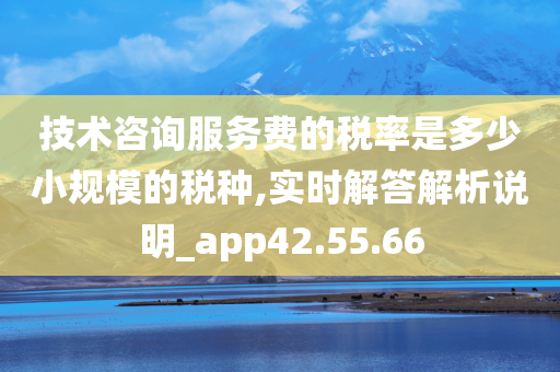 技术咨询服务费的税率是多少小规模的税种,实时解答解析说明_app42.55.66