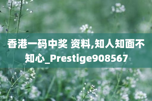 香港一码中奖 资料,知人知面不知心_Prestige908567