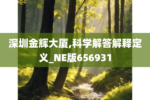 深圳金辉大厦,科学解答解释定义_NE版656931