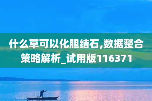 什么草可以化胆结石,数据整合策略解析_试用版116371