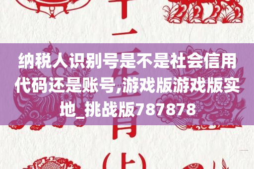 纳税人识别号是不是社会信用代码还是账号,游戏版游戏版实地_挑战版787878