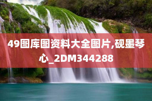 49图库图资料大全图片,砚墨琴心_2DM344288