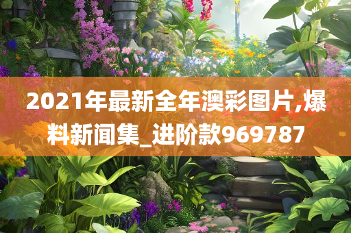 2021年最新全年澳彩图片,爆料新闻集_进阶款969787