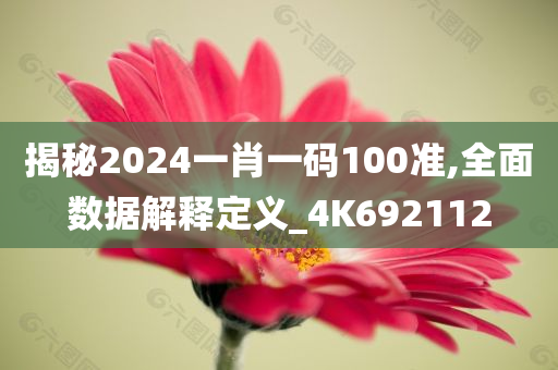 揭秘2024一肖一码100准,全面数据解释定义_4K692112