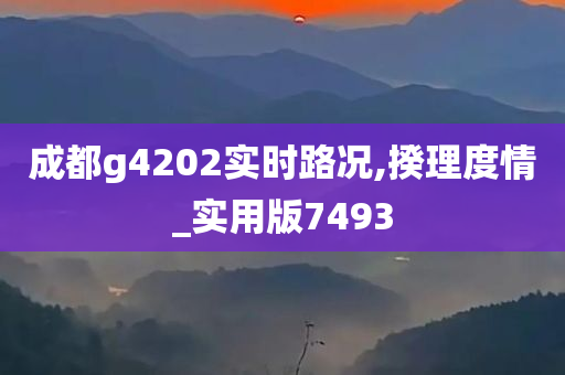 成都g4202实时路况,揆理度情_实用版7493