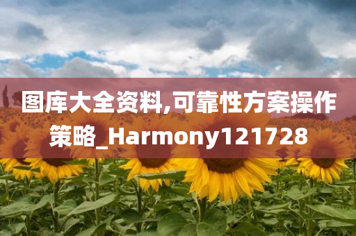 图库大全资料,可靠性方案操作策略_Harmony121728