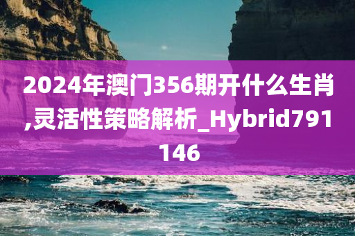 2024年澳门356期开什么生肖,灵活性策略解析_Hybrid791146