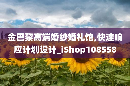 金巴黎高端婚纱婚礼馆,快速响应计划设计_iShop108558