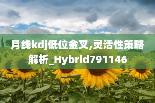 月线kdj低位金叉,灵活性策略解析_Hybrid791146