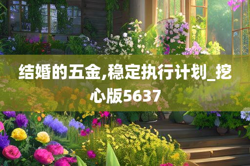 结婚的五金,稳定执行计划_挖心版5637