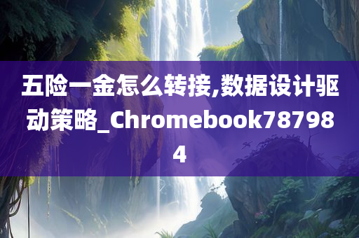 五险一金怎么转接,数据设计驱动策略_Chromebook787984