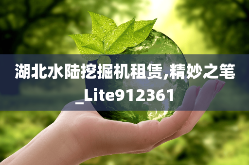 湖北水陆挖掘机租赁,精妙之笔_Lite912361