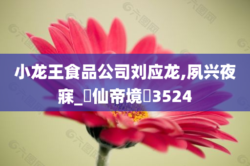 小龙王食品公司刘应龙,夙兴夜寐_‌仙帝境‌3524