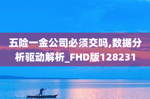 五险一金公司必须交吗,数据分析驱动解析_FHD版128231