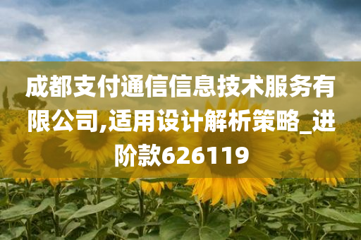 成都支付通信信息技术服务有限公司,适用设计解析策略_进阶款626119