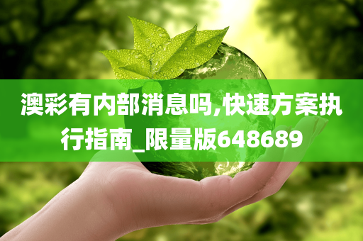 澳彩有内部消息吗,快速方案执行指南_限量版648689