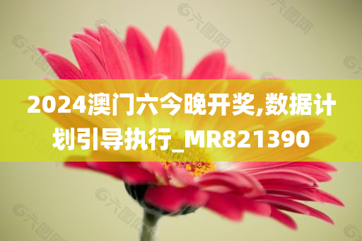 2024澳门六今晚开奖,数据计划引导执行_MR821390