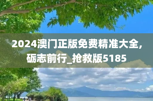 2024澳门正版免费精准大全,砺志前行_抢救版5185