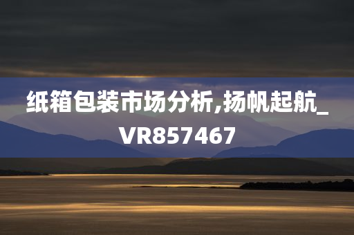 纸箱包装市场分析,扬帆起航_VR857467