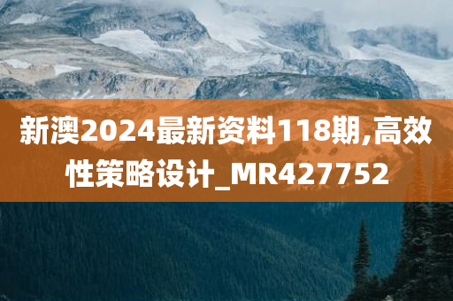 新澳2024最新资料118期,高效性策略设计_MR427752