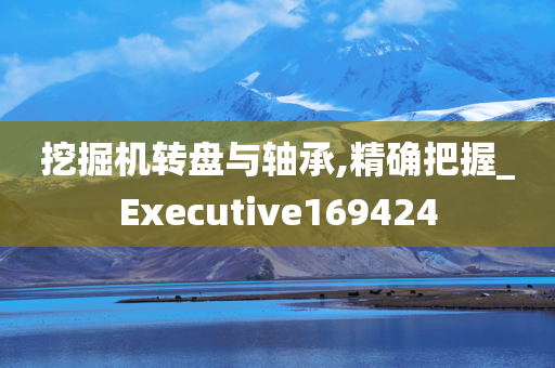 挖掘机转盘与轴承,精确把握_Executive169424