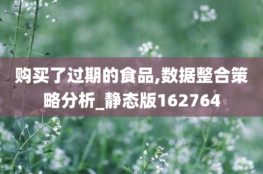 购买了过期的食品,数据整合策略分析_静态版162764