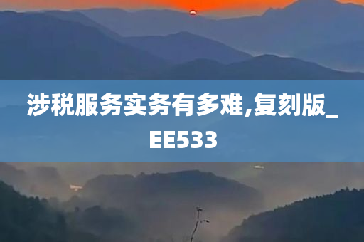 涉税服务实务有多难,复刻版_EE533