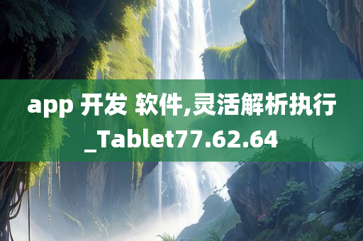 app 开发 软件,灵活解析执行_Tablet77.62.64