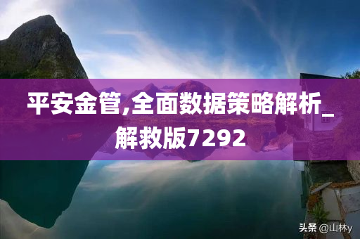 平安金管,全面数据策略解析_解救版7292