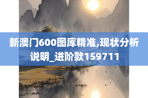 新澳门600图库精准,现状分析说明_进阶款159711