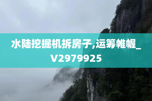 水陆挖掘机拆房子,运筹帷幄_V2979925