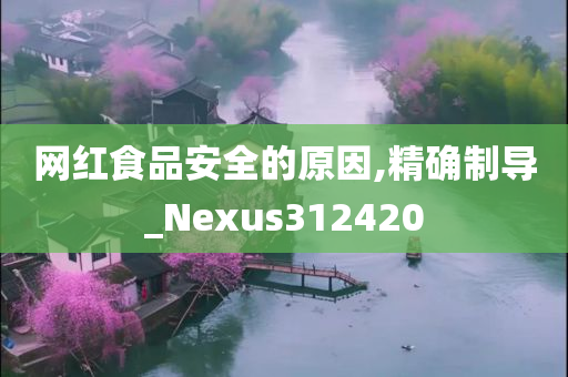 网红食品安全的原因,精确制导_Nexus312420