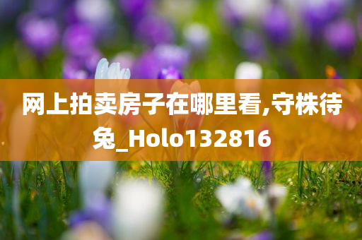 网上拍卖房子在哪里看,守株待兔_Holo132816