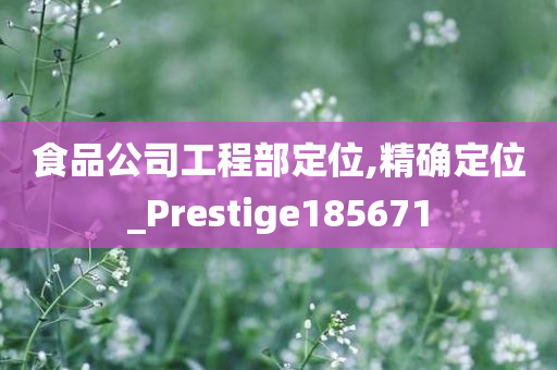 食品公司工程部定位,精确定位_Prestige185671