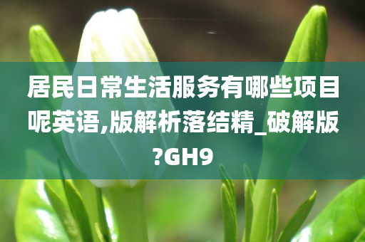 居民日常生活服务有哪些项目呢英语,版解析落结精_破解版?GH9