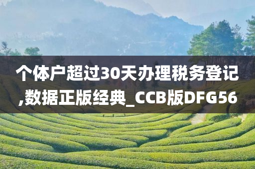 个体户超过30天办理税务登记,数据正版经典_CCB版DFG56